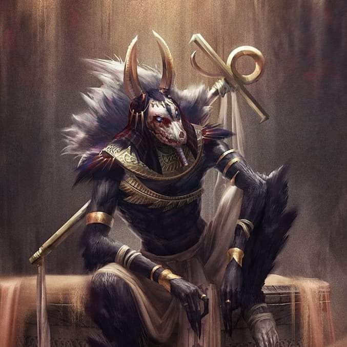 #صورة_ملف_شخصي_جديدة