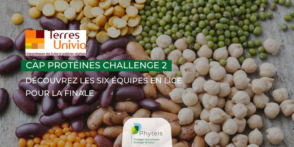Phyteis's tweet image. #CapProtéinesChallenge 🏆

Concours organisé par @terresunivia dans le cadre du #PlanProtéines, vise à trouver des concepts innovants autour de la filière des #OléoPro 💡

La finale a lieu aujourd’hui, l’occasion de découvrir les projets finalistes ⬇️

terresunivia.fr/decouvrir-terr…