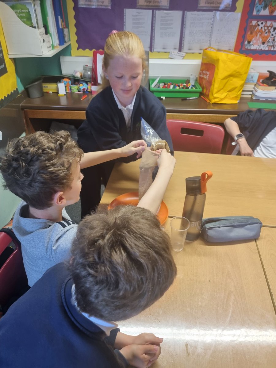 Things got a bit messy in P6 yesterday in Science when we used weetabix, orange juice, water, a plastic bag, a pair of tights and some cups to imitate the movement of food through the digestive system! 🥗🥞🥖🥙 @Mrs_ScottCPS <a href="/WL_STEM/">West Lothian STEM</a>