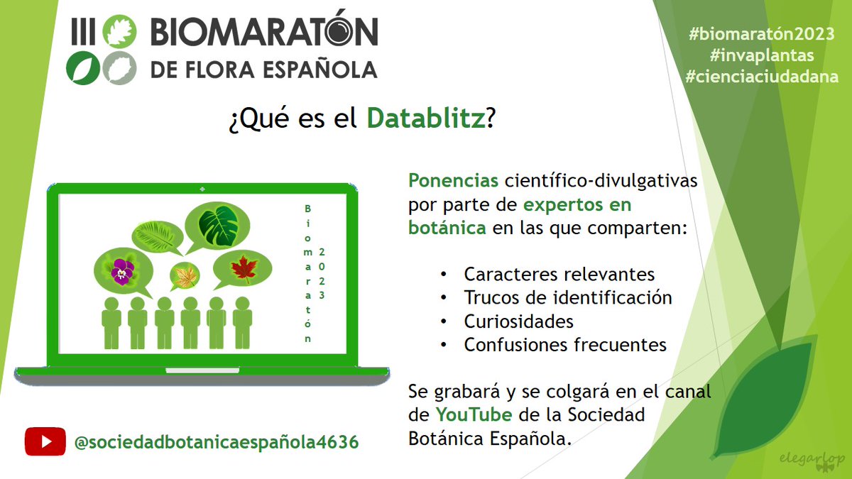 biomaraton's tweet image. En #Biomaratón2023 sabemos que una cosa es la teoría📖, otra la práctica📷🌿y otra el proceso de consolidación del conocimiento y las dudas que surgen una vez en🏡Por eso organizamos también ¡el #Datablitz! Queremos que saquéis el máximo provecho de vuestra participación💚