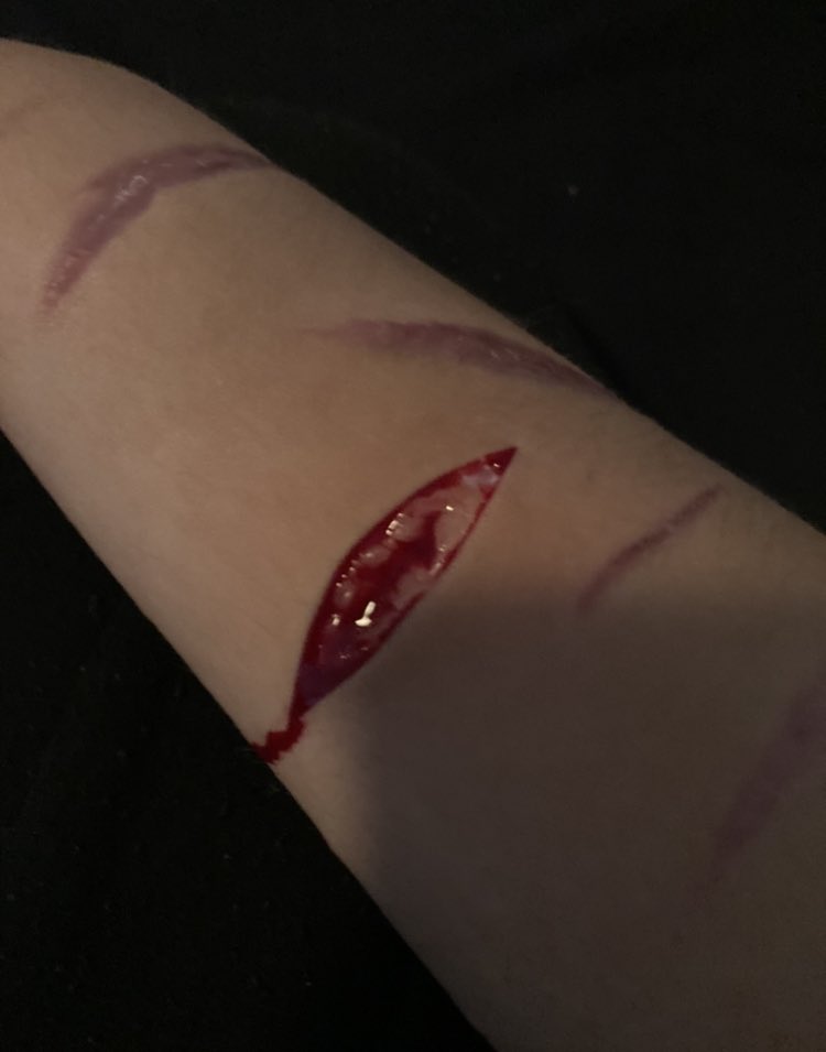 cutmeopeen's tweet photo. a few pictures &amp; a video from the beginning and end of tn it’s so small I hate it so much I’m so sad I couldn’t get to finish it https://t.co/pptZ6Nf1ag