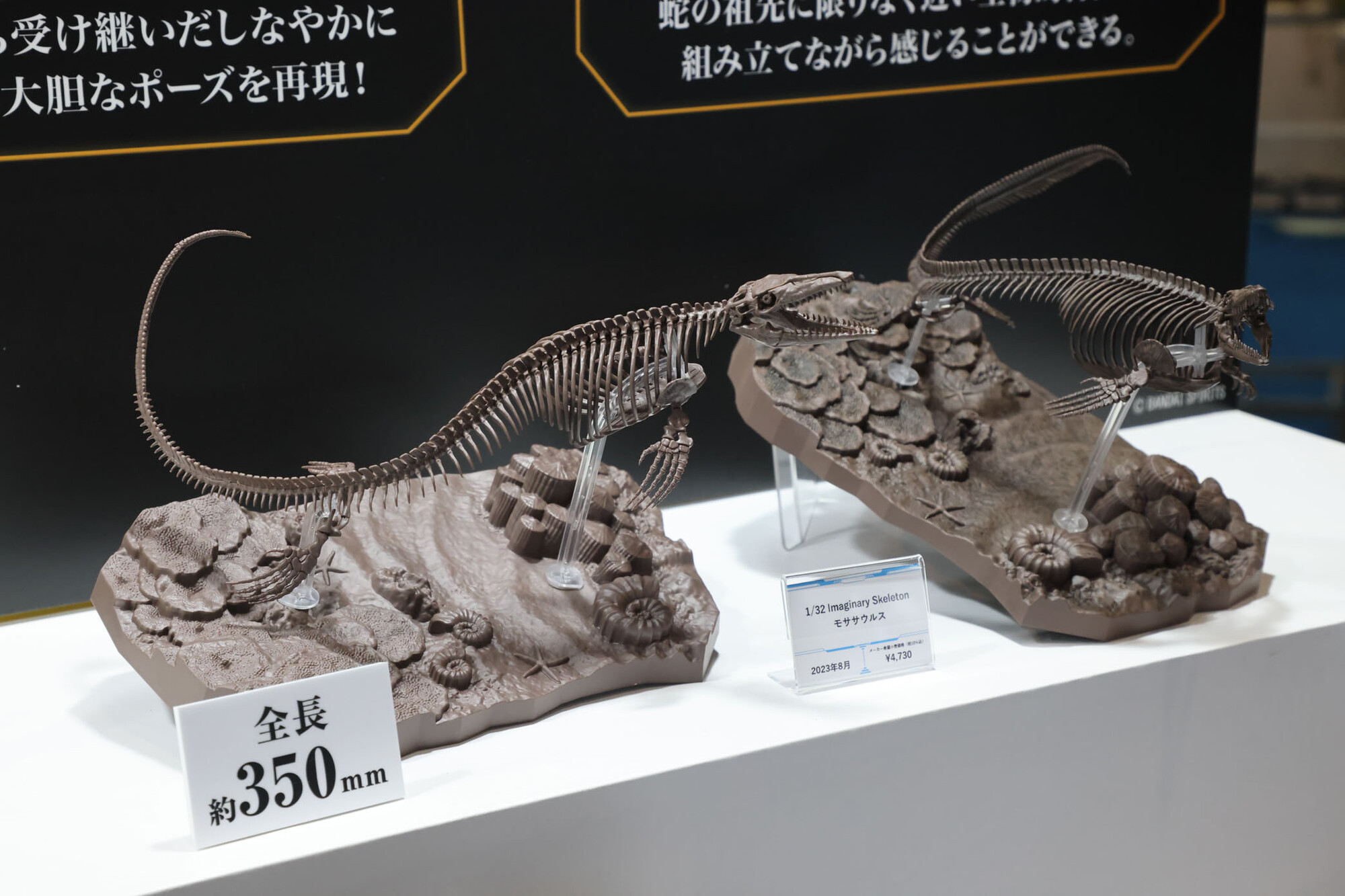 モササウルス 化石 1/32スケールプラモデル やわらかい モササウルス 化石 1/32スケールプラモデル やわらかい