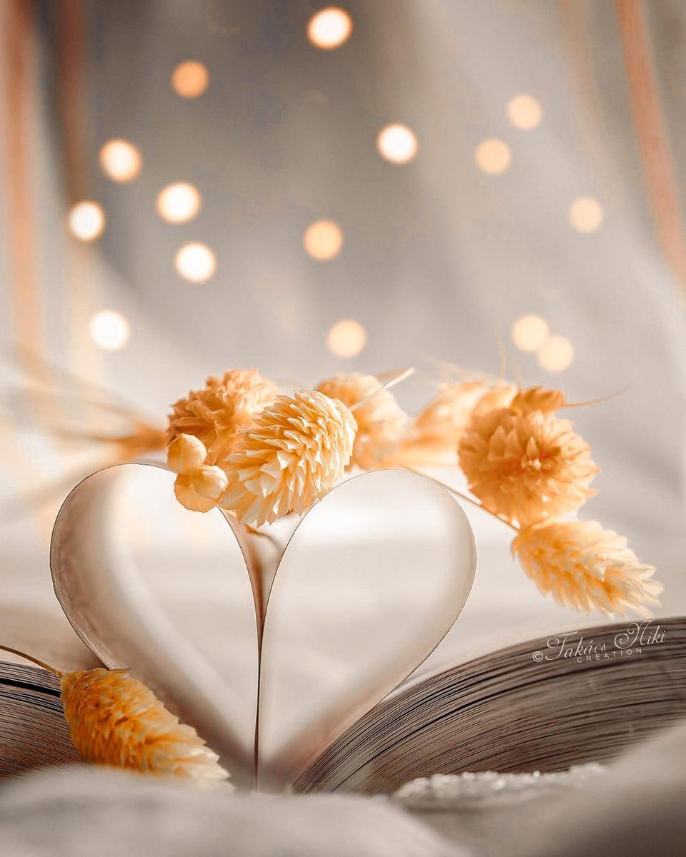 قلب أبيض و نوايا طاهرة 
أُمنيات جميله و أحلام تشبه حديقة مثمرة 
ما زلت أبتسم و ما زال قلبي ينبض 
تلك هيي أعظم النعم 🤍