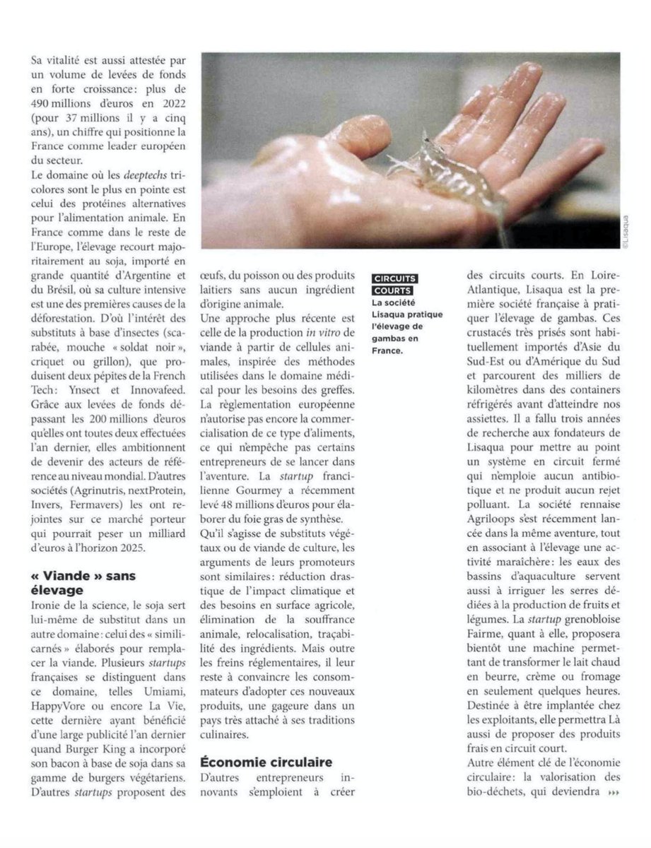 Mycophyto tweet media