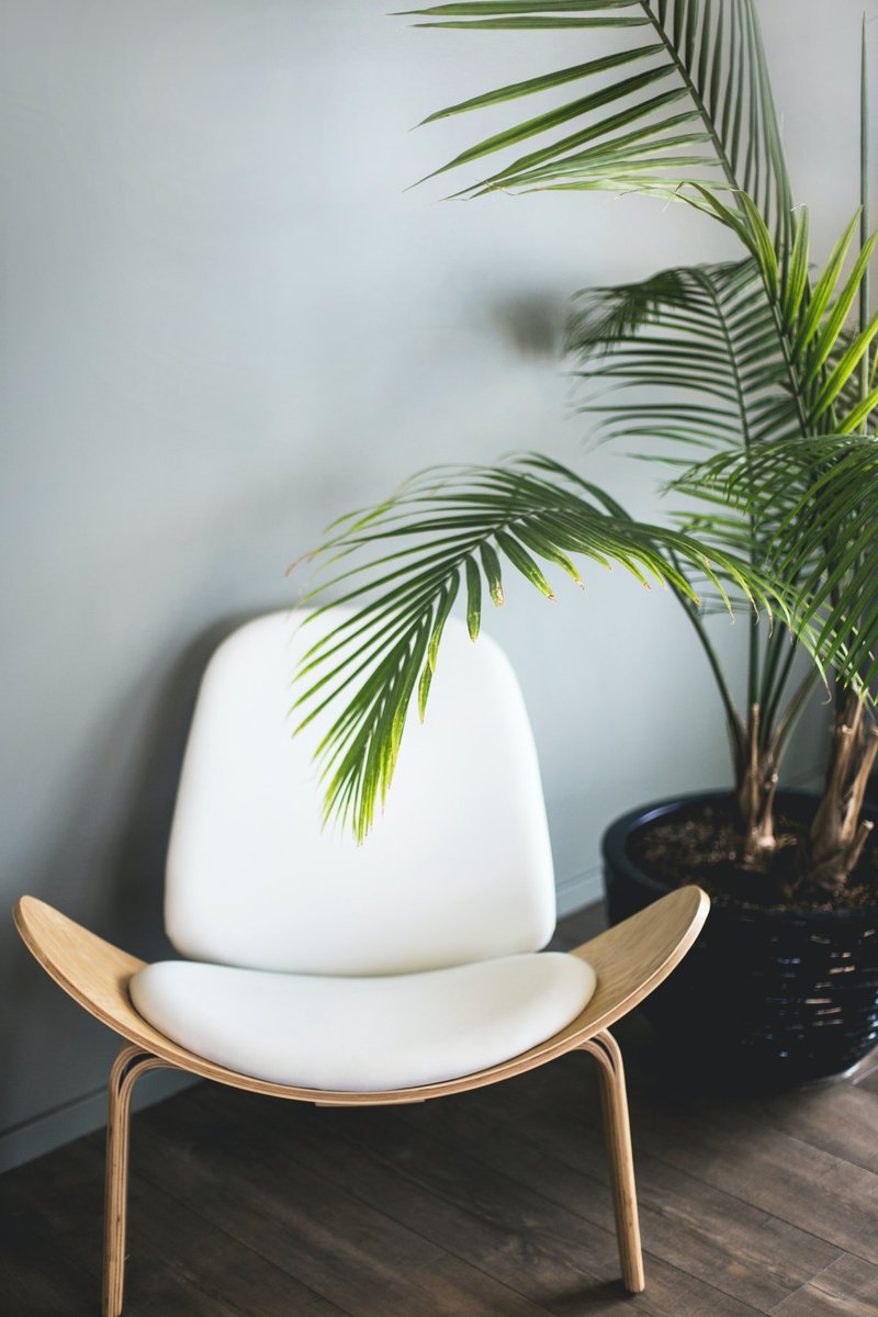 You sit down and relax and let us clean 🧽 
#cleaningoffice #trustedcleaners  #qualitycleaners #expertcleaners  #unsplash #unsplashphoto #operationsmanagers #officemanagers  #cleaningservice #tidyoffice  #endoftenancy #endoftenancycleaning @unsplash