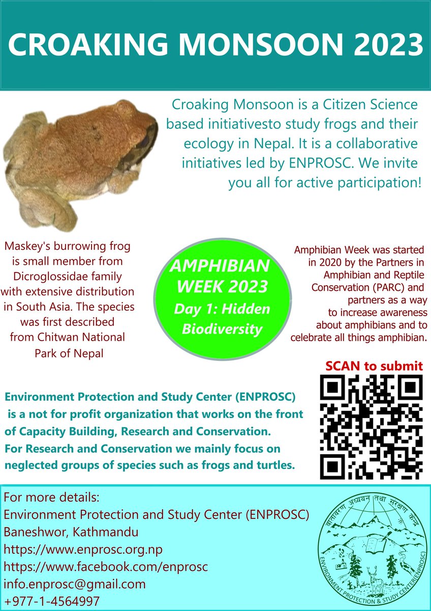 mjshree342's tweet photo. We wish you all, happy amphibian week 2023. 
 We would like to invite you all to participate in the Croaking Monsoon program.
#amphibian_week #croaking_monsoon #nepal #frogs #burrowing_frog #tanahun #conservation #wildlife #citizen_science https://t.co/ADOwZqJX5i
