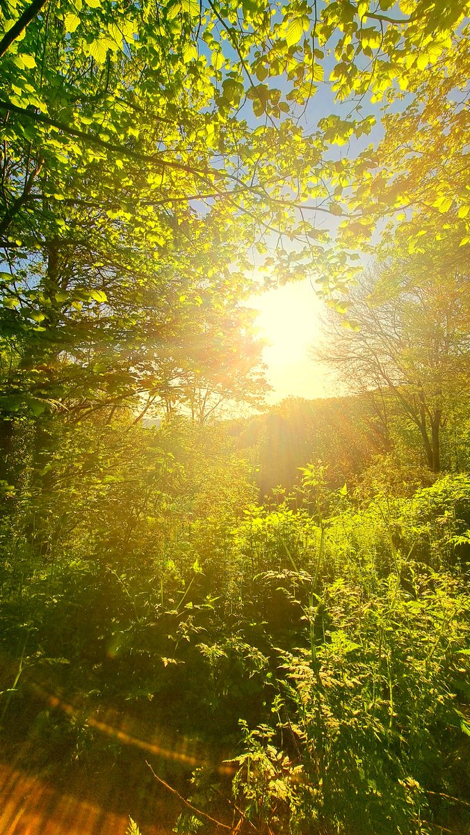 pso_kt's tweet photo. A beautiful morning on the #ponderosa #upperthorpe #Sheffield, down forget to check out our local weather with @steelcityskies https://t.co/DHQMyIosVH