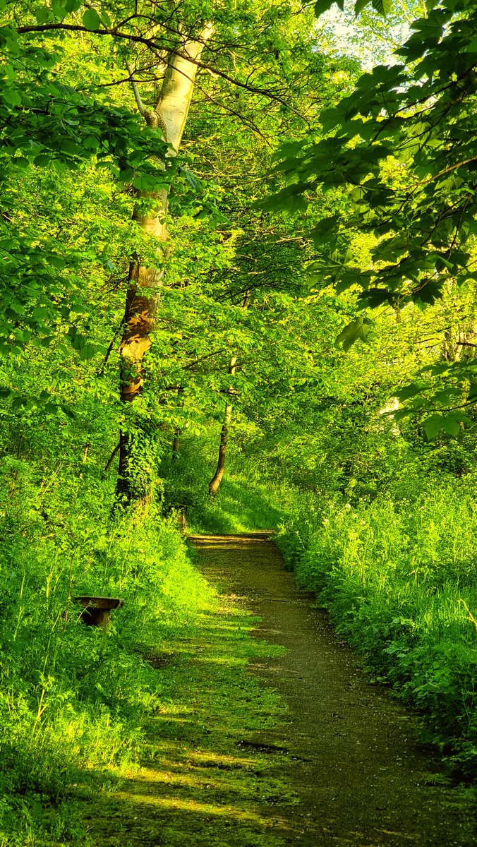 pso_kt's tweet photo. A beautiful morning on the #ponderosa #upperthorpe #Sheffield, down forget to check out our local weather with @steelcityskies https://t.co/DHQMyIosVH