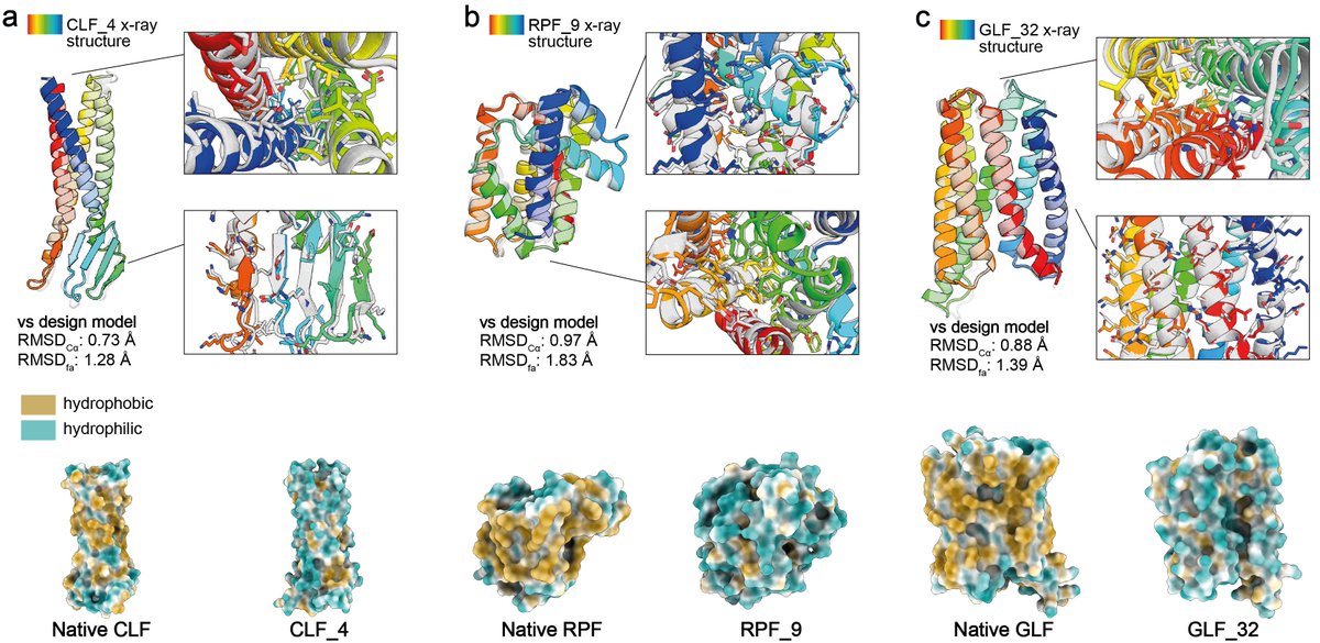 Lastly, confirmed that the soluble analogues maintain the intricate topology of the membrane folds using crystal structures. This allowed us to further explore the sequence space of membrane topologies and achieve a de facto fold expansion of the soluble space.