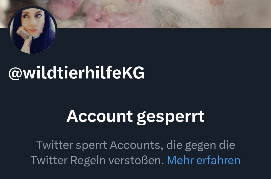 Die_Tierlobby's tweet photo. +++ EIL +++

Gestern wurden 2 große Accounts die sich mit Tierschutz beschäftigen @wildtierhilfeKG &amp; @saki_statement zeitgleich von Twitter gesperrt, weil sie mehrfach gemeldet wurden.

Hallo @TwitterMktgDACH, @Twitter &amp; @TwitterSupport. Bitte entsperrt diese wieder.

Danke. https://t.co/OFLCMcRnv1