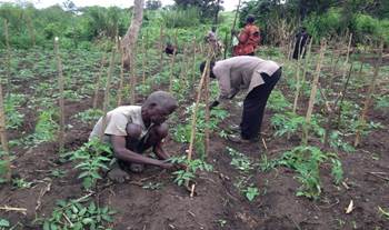 GERinSSD's tweet photo. "Farming as a business!"

@GERinSSD &amp; @GIZ_SouthSudan met with Hon. Josephine Lagu, Min. of Agric, to discuss rural development in 🇸🇸. 🇩🇪 supports farmers on their way from subsistence farming to #Agribusiness through improving livelihoods &amp; enhancing resilience.
#FoodSecurity https://t.co/jaRsrusJmD