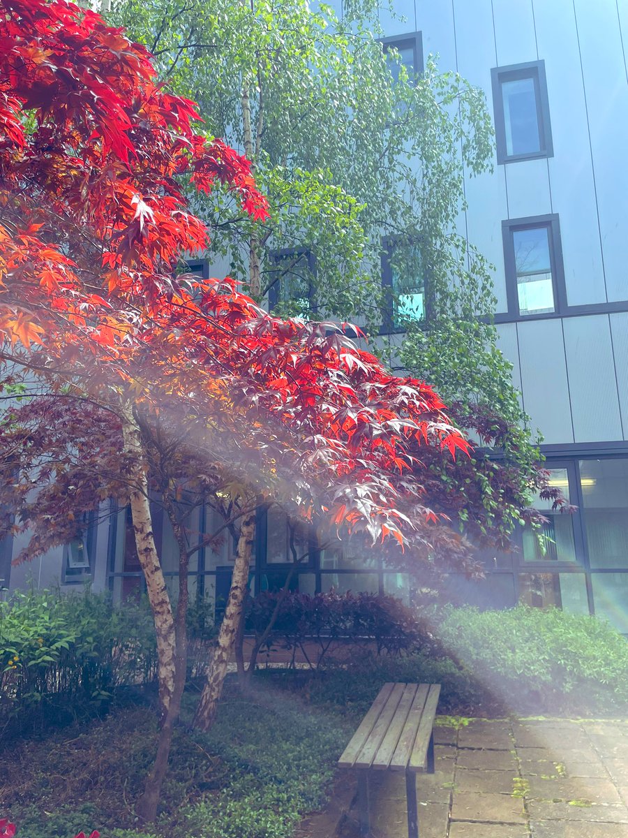 Zoeshe_scotland's tweet photo. @staugustineshs Mind, Body &amp; Soul group working outside in the beautiful courtyard with @she_scotland talking about gender stereotypes and thinking about our future and being bold with choices #wecandoanything  #womanswork #education #groupwork https://t.co/jWQZhiIHEZ