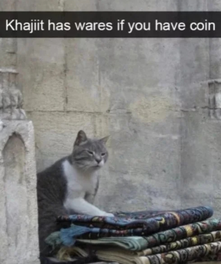 WholesomeMeme's tweet image. 