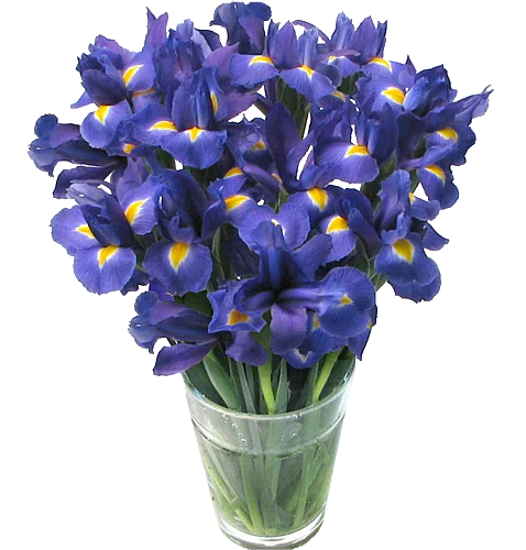 RengokuKJR_bot's tweet image. วันนี้เวียนบรรจบกลับมาอีกครา..
หลากความทรงจำย้อนคืนทั้งสุขและเศร้า..
แต่ละวันที่ไหลผ่านกลายมาเป็นตัวเราเหมือนอย่างเช่นทุกวันนี้..

ช่อดอกไอริสที่ได้รับมาจากน้องชายถูกส่งต่อให้ป้ายวิญญาณของมารดาพร้อมรอยยิ้มบางเบาบนริมฝีปาก

+