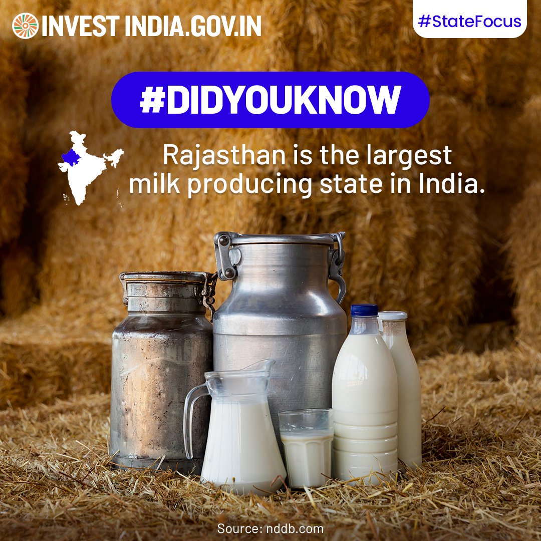 #StateFocus

Rajasthan produced 33265 Thousand Tonnes of milk in 2021-22.

Explore more avenues at: bit.ly/II-Rajasthan

#InvestInRajasthan #InvestIndia #Rajasthan @MOFPI_GOI @prahladspatel