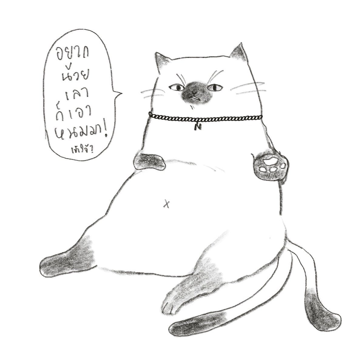 fuku_sshs's tweet photo. #SSHS_Costory

(ก็ ฮะ .เลียอุ้ง) https://t.co/4wNlXgji0Y
