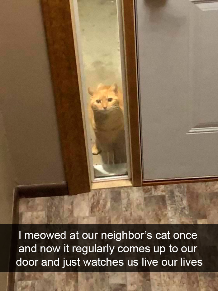 WholesomeMeme's tweet photo. https://t.co/Yqxwf0R2PN