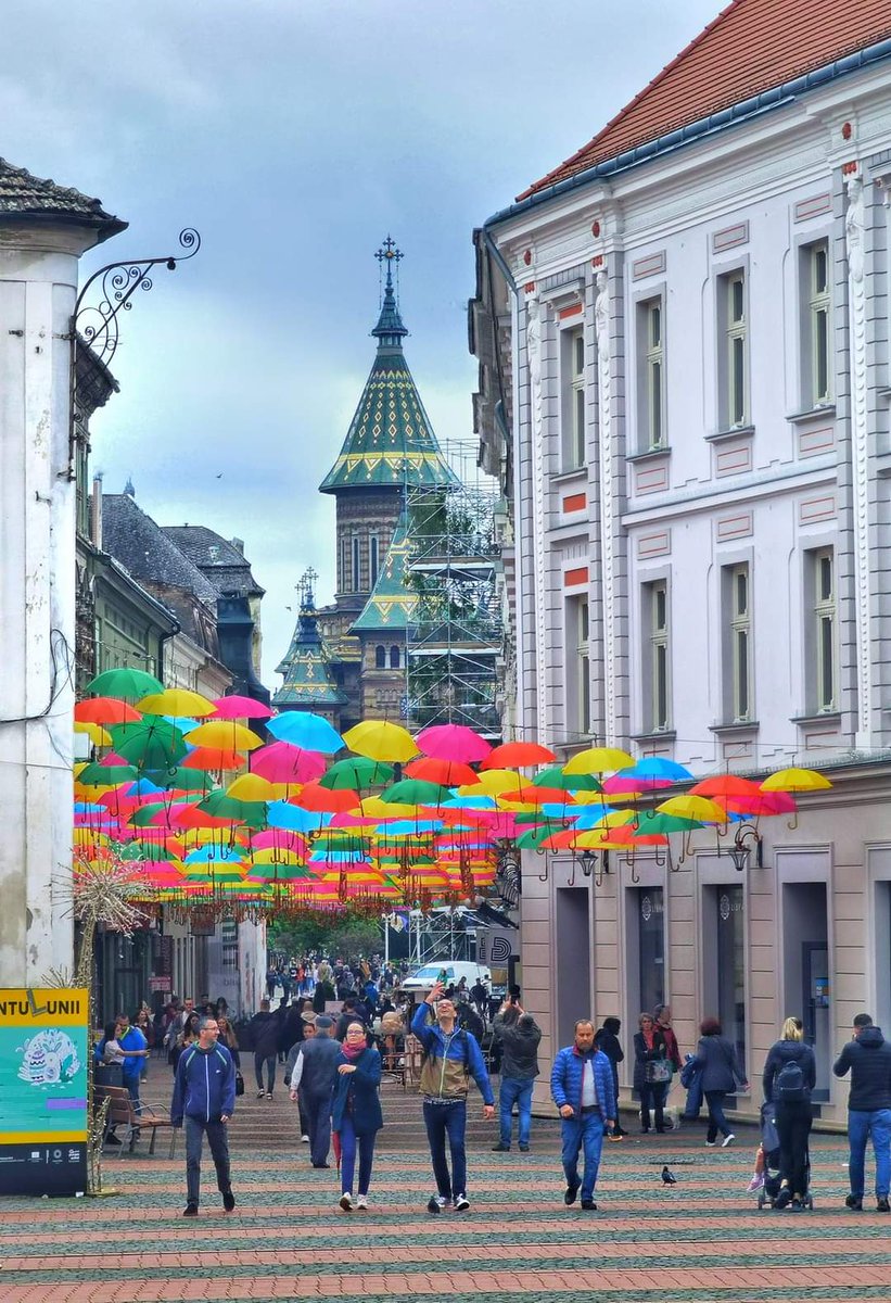 Travel_2Romania's tweet photo. ☂️☂️☂️🌈☂️☂️☂️
#Timisoara
#visittimisoara #city #umbrellastreet
📸 Adrian T Photographer
#DiscoverRomania https://t.co/XSQDzIysPp