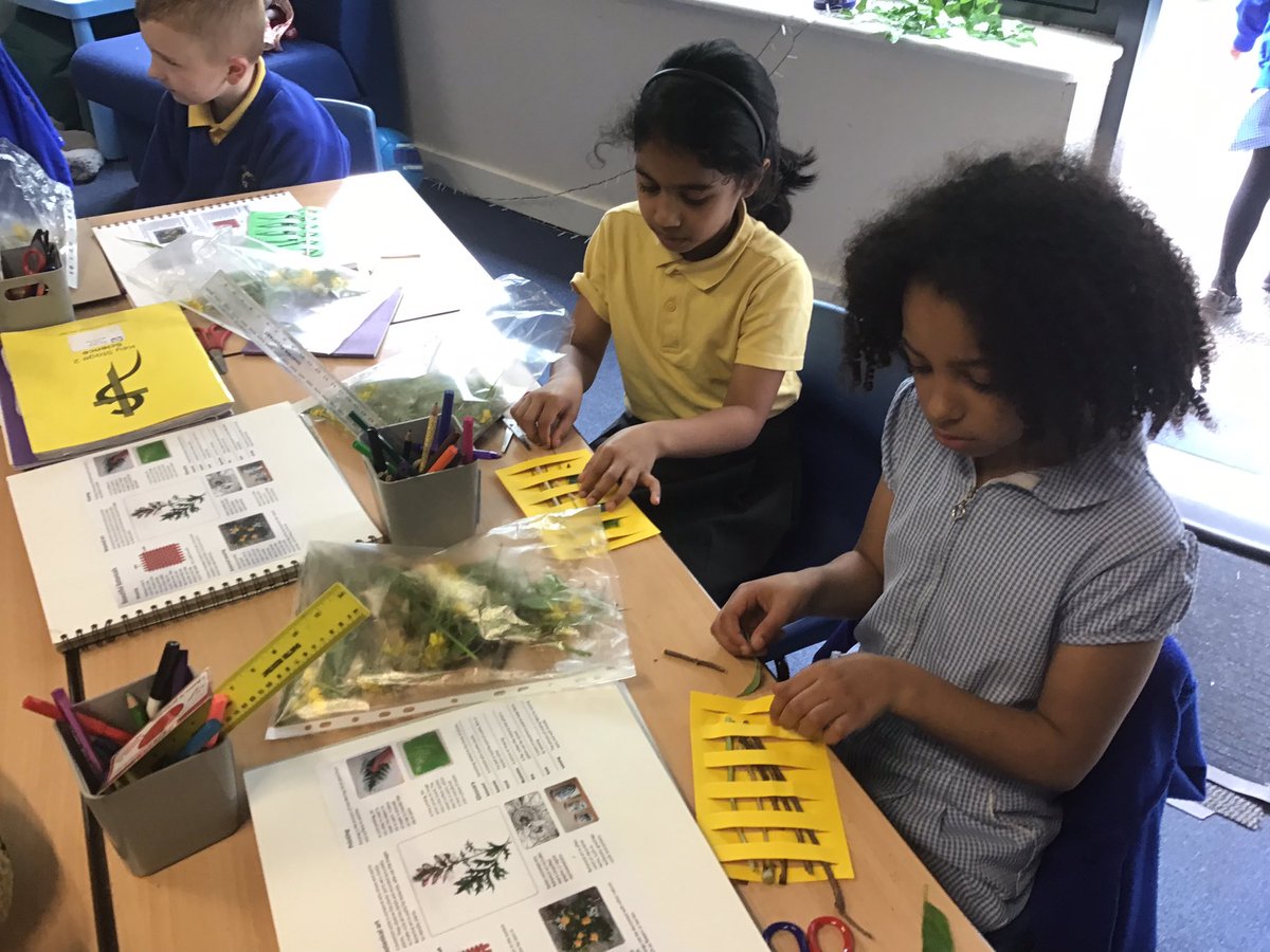CanonYearThree's tweet photo. Year 3 have been trying out botanical weaving using natural resources that we found outside on the school grounds for our Beautiful Botanicals art project 🌿🌱🍃 @CanonSharples @LT_Trust https://t.co/7Ft2AWlcVM