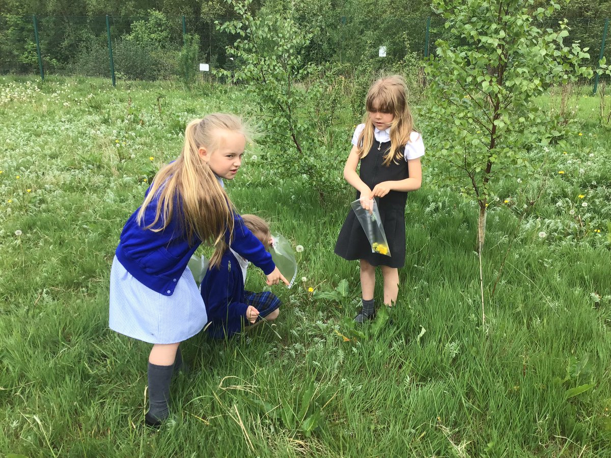 CanonYearThree's tweet photo. Year 3 have been trying out botanical weaving using natural resources that we found outside on the school grounds for our Beautiful Botanicals art project 🌿🌱🍃 @CanonSharples @LT_Trust https://t.co/7Ft2AWlcVM