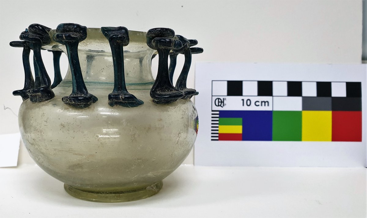 Macquarie University History Museum tweet media