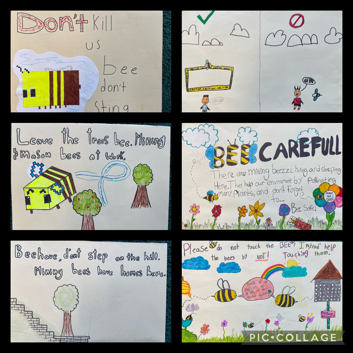 Our Tweeds community has learned so much about mason and mining bees- they are good ancestors and want to teach others about how important these native super pollinators are. @newwestschools