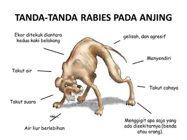 artchitex's tweet photo. @moch_noval15 @tanyakanrl https://t.co/M9wPmTQljA