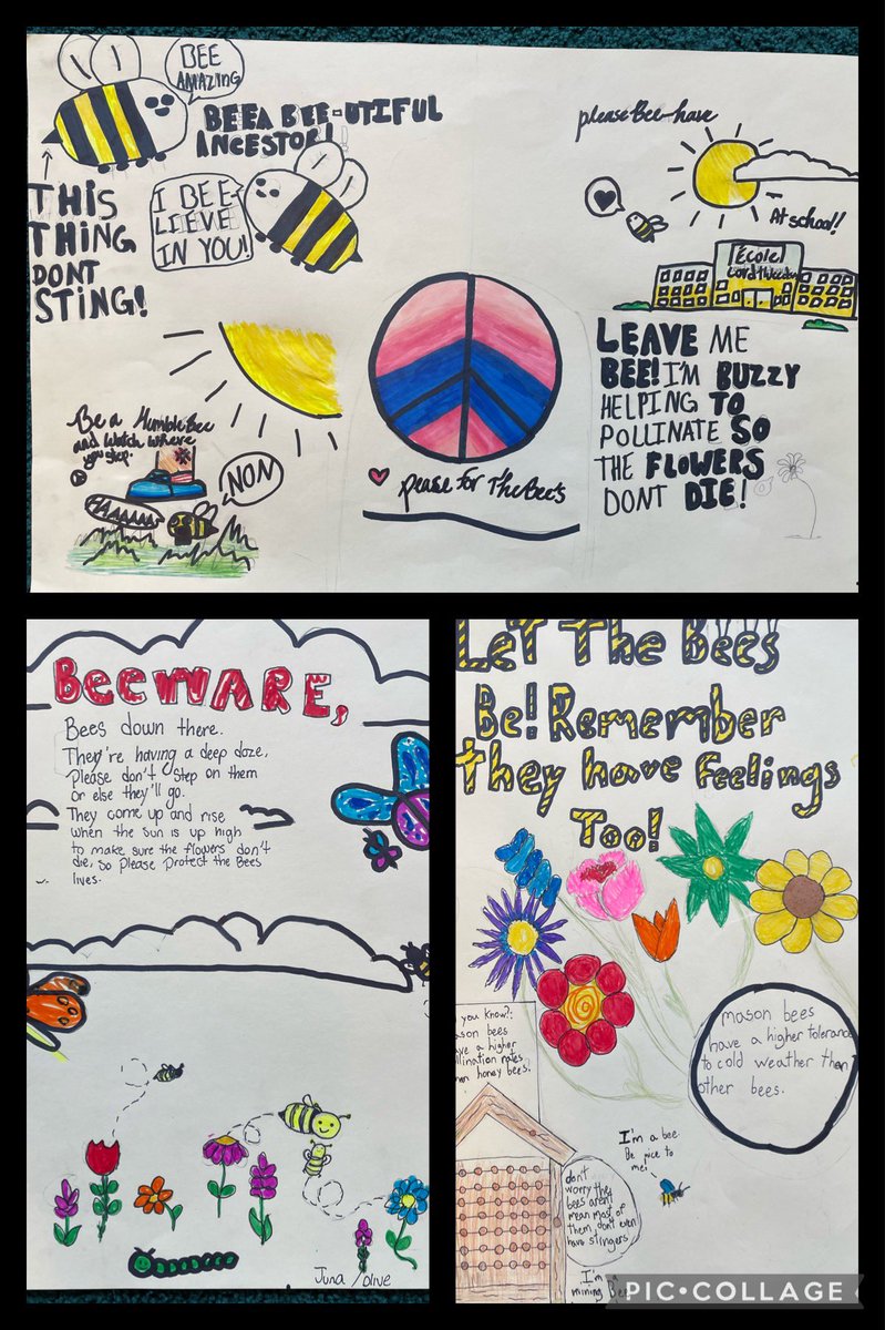 More amazing bee awareness posters from division 20. @newwestschools