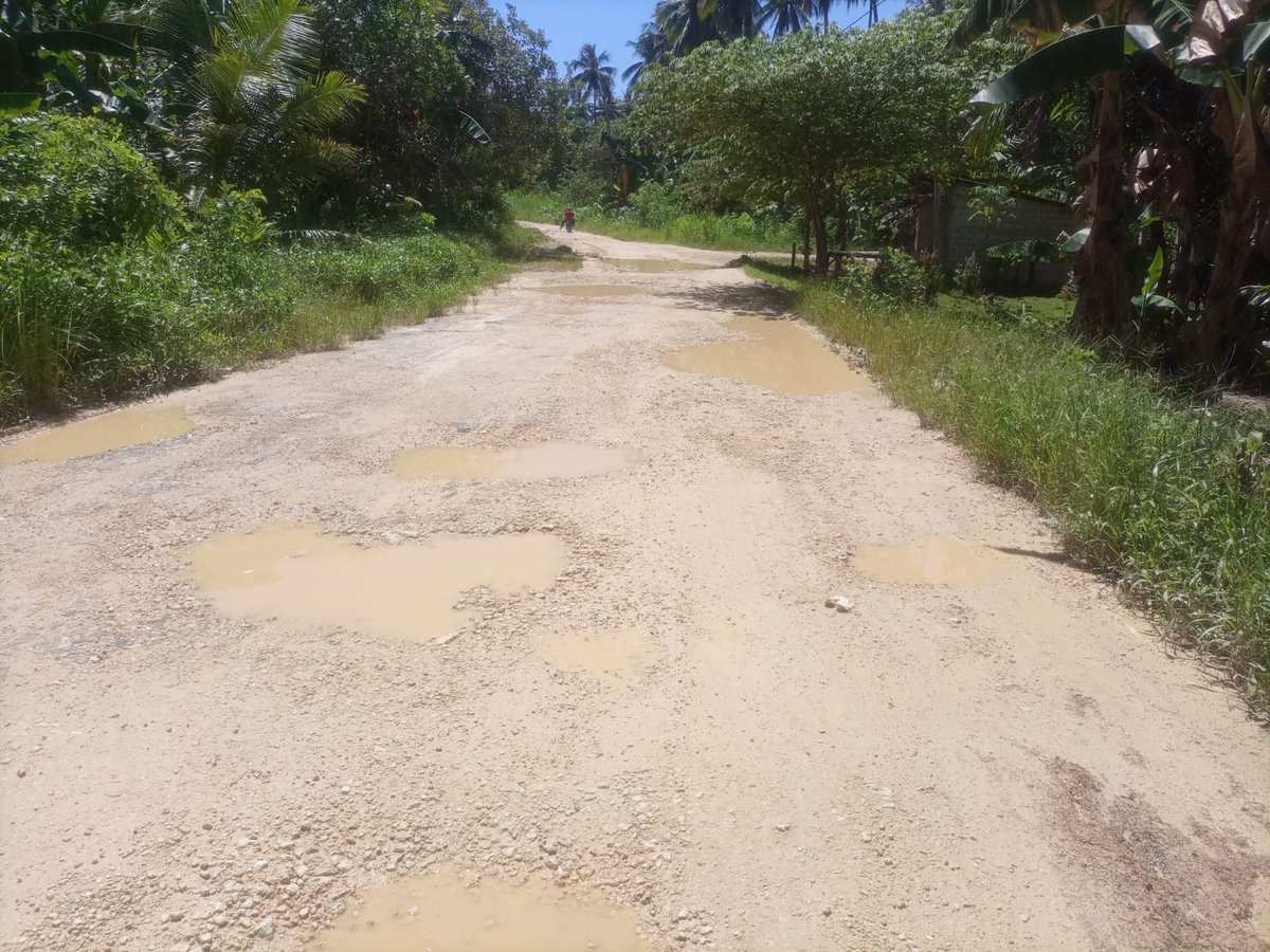 muhyusrill's tweet photo. @jokowi Kondisi pertanggal 10 Maret jalan provinsi poros Desa Kioko https://t.co/2hpdiktOzI