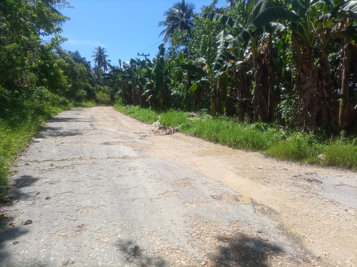muhyusrill's tweet photo. @jokowi Kondisi pertanggal 10 Maret jalan provinsi poros Desa Kioko https://t.co/2hpdiktOzI
