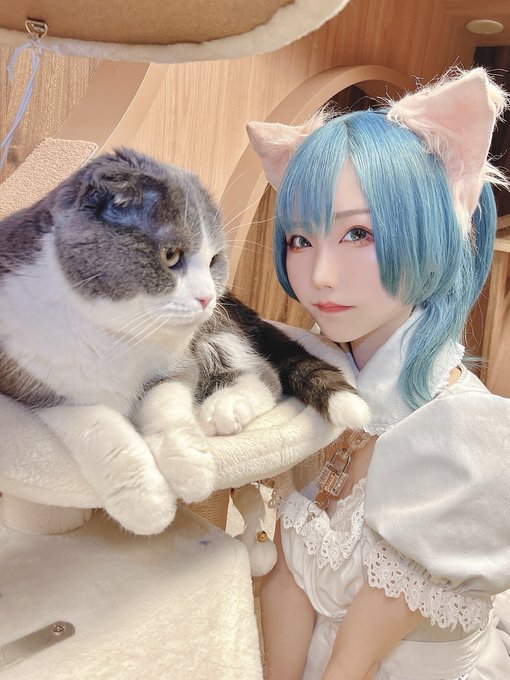 コスプレイヤーしらゆき（しらゆきミク）のTwitter画像63