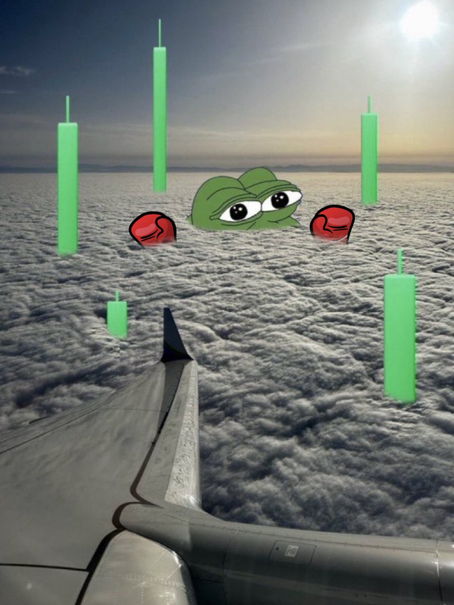 BoxerPepe 🛡️ tweet media