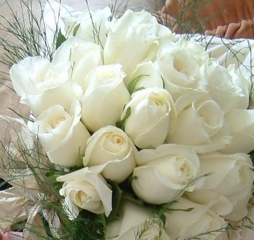 احسان (@1ehsan33) on Twitter photo 