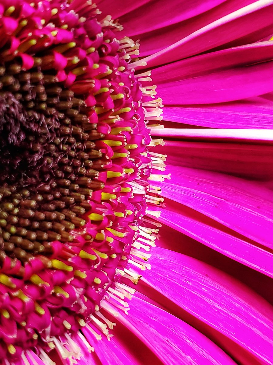 tomography38's tweet photo. @admired_art Pinky https://t.co/rDGJbqmBZk