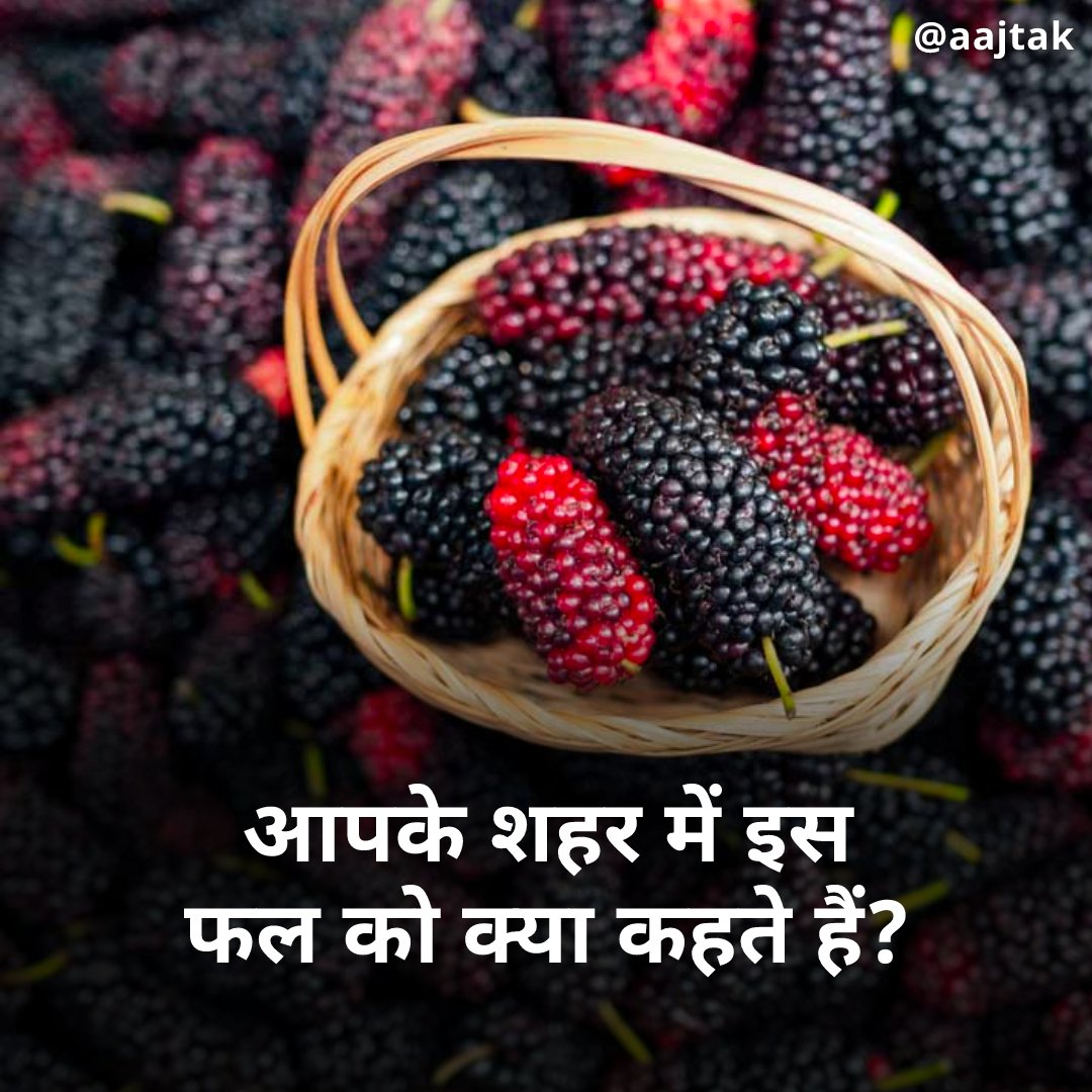 आपके शहर में इस फल को क्या कहते हैं?

#YourSpace #Morusalba

#ajjtak  #ercp_नेशनल_प्रोजेक्ट_बनाओ