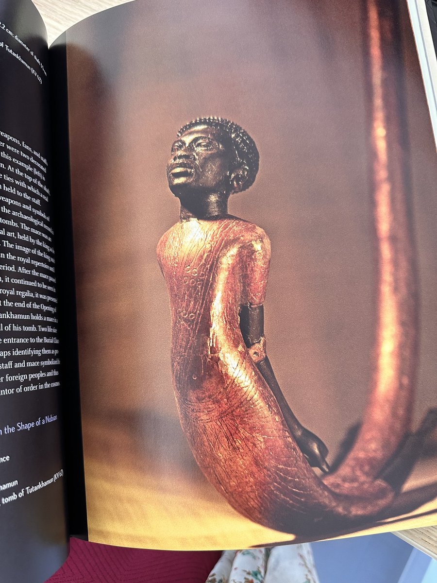 Ismathassansial's tweet photo. Reading a book on the history of Ancient Egyptian kings specially about TutAnkhAmun! Even this 4,500 old history has symbols representing Nubian Slaves (modern day Sudan). I wonder why did it start at all! #Hawass #egyptology https://t.co/Xn1D21SgsU
