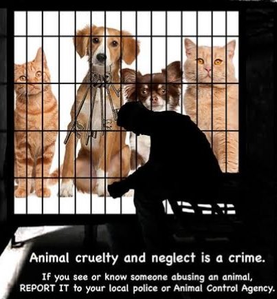 we are raising this advocacy to wake everyone up! and see value in every living thing! we fight for the humane treatment of animals and the prevention of their suffering!! 

#FightForAnimalRights&Freedom