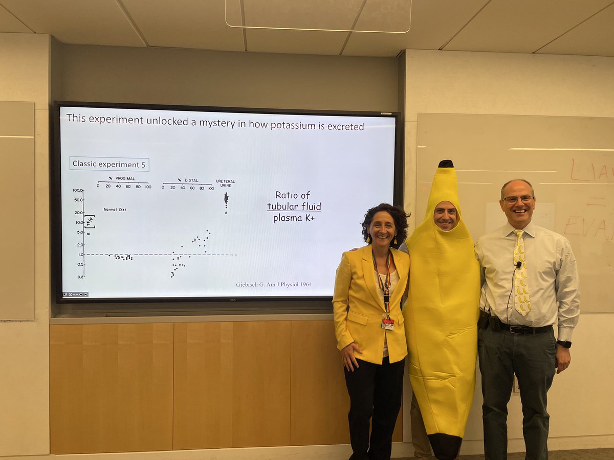 Another K+ day at @harvardmed in the books. There was lots of cellular shift, exciting micropuncture experiments, distal Na+ delivery, and so much more! But I imagine all they will remember is the banana suit and our banana-themed regalia. @melhoenig @StewartLecker