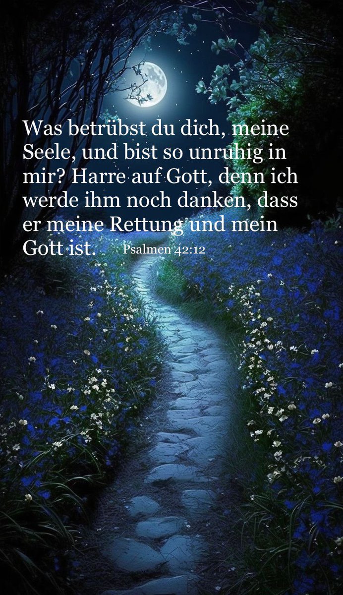 Bibelverse12's tweet photo. 🙏🏽📖✝️ https://t.co/9DstCeaSL1