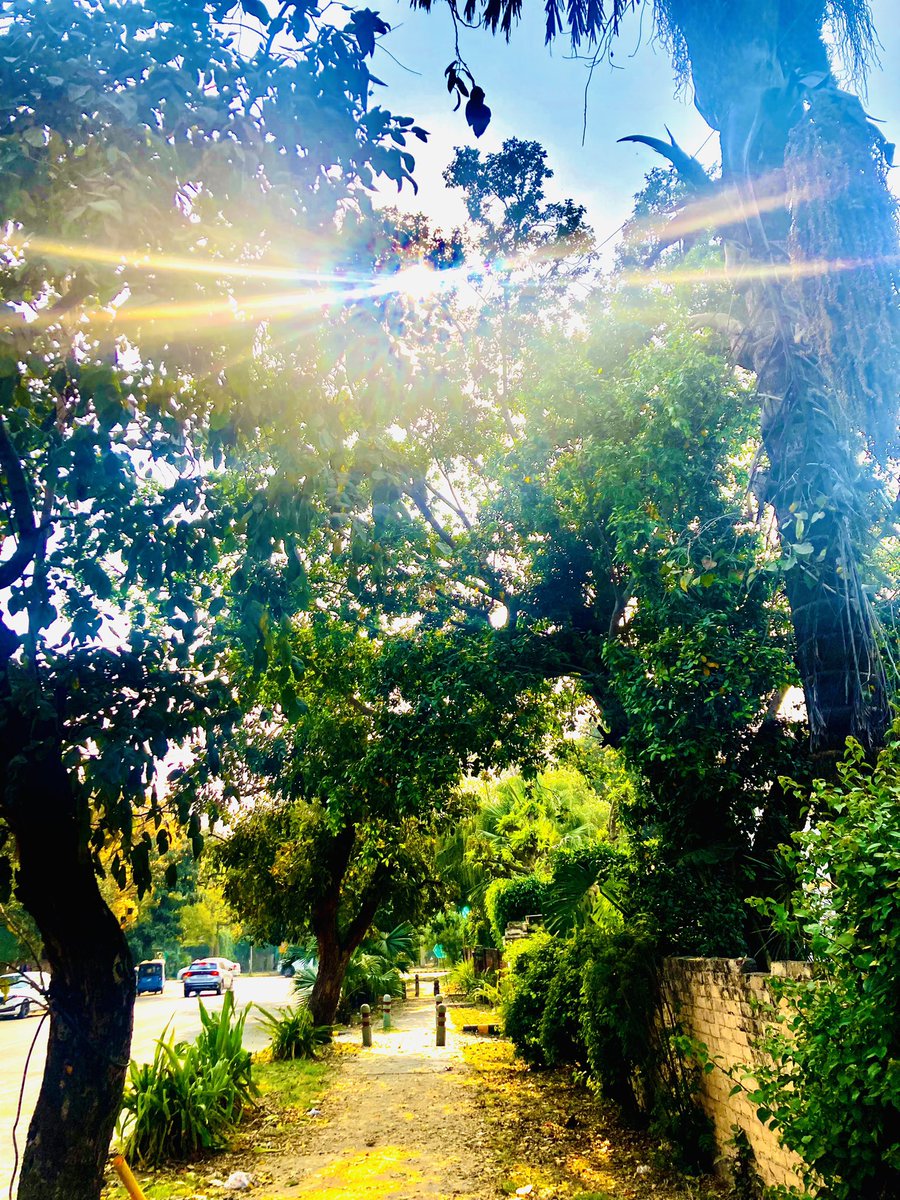 Abhishek Chaturvedi tweet media