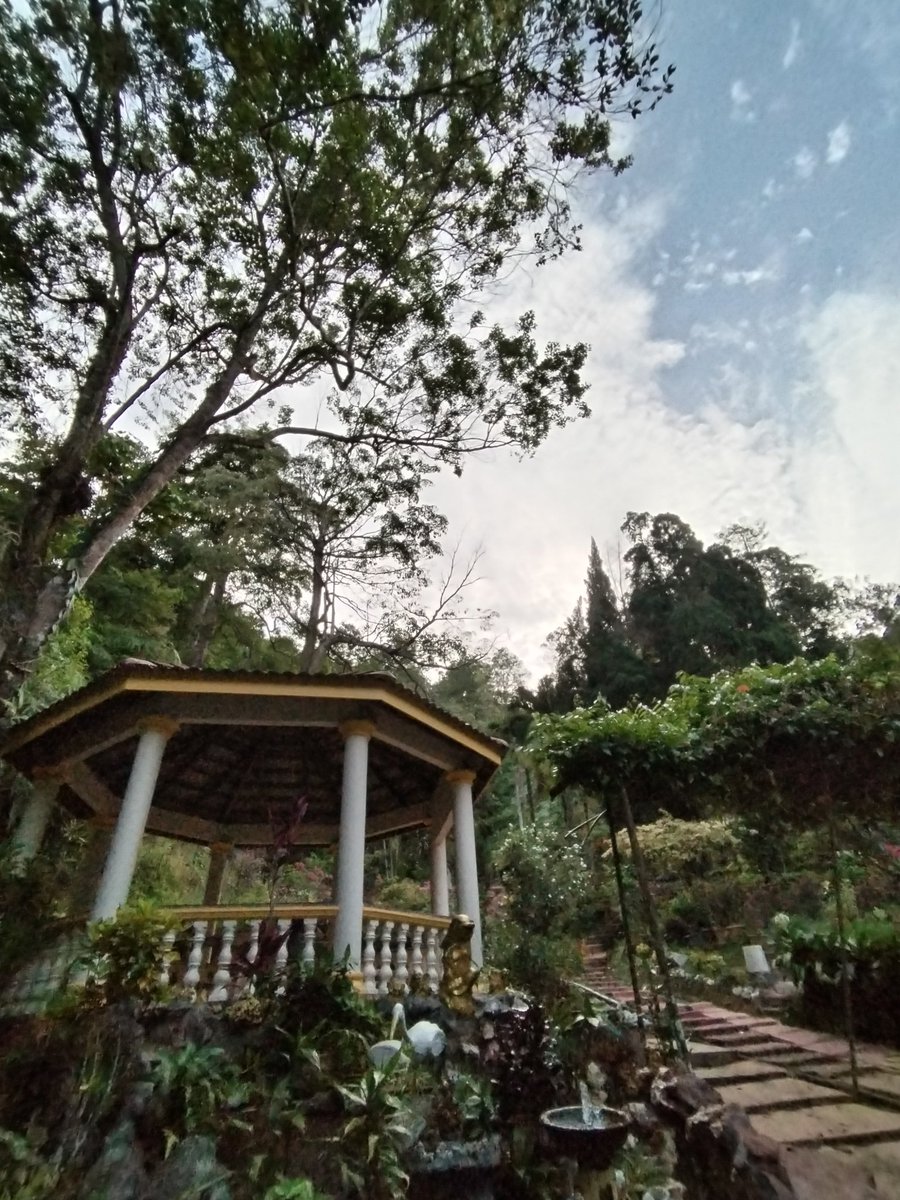 cyfoong's tweet photo. Nature is the best stress reliever https://t.co/WsVWE11Hkf