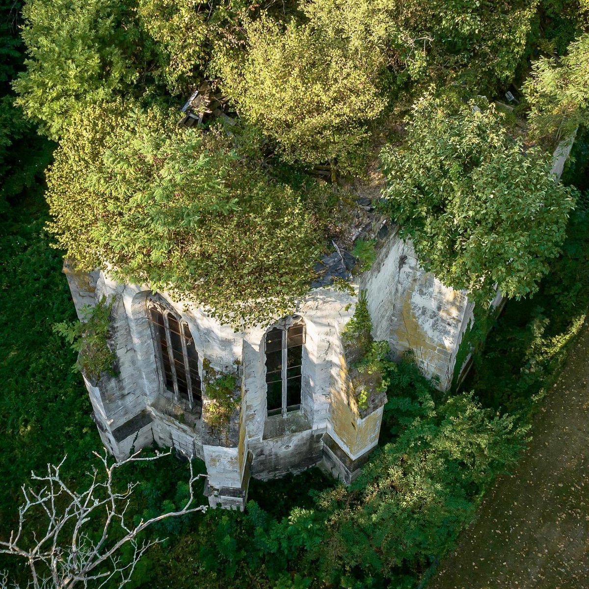 hdlfrance's tweet photo. Saviez-vous que le petit bourg de Trélissac recèle les vestiges d’une magnifique petite église ?
(Ancienne église Notre-Dame-de-l’Assomption) 
#dordogne #perigord  #dordognetourisme
#nouvelleaquitaine
#dordogneperigord
#dordogneperigordtourisme #trelissac 
#perigordblanc #vestige https://t.co/TDbyv78JoS