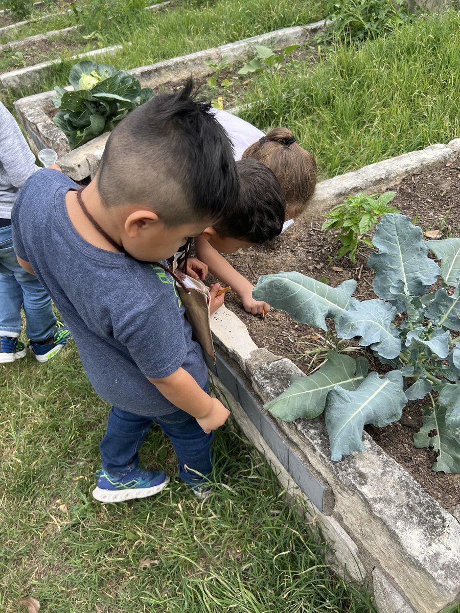 Our youngest Thunderbirds (PK) learning about bugs and insects, making observations, and documenting their observations. <a href="/AISDElementary/">@AISDElementaryProud</a>