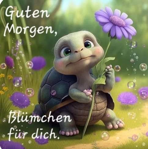 chestety's tweet image. Good morning, @Liam_J_McIntyre