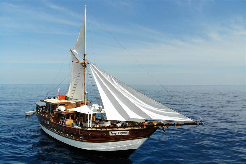 DivingRegister's tweet image. Amaya Explorer dlvr.it/SnpSWZ