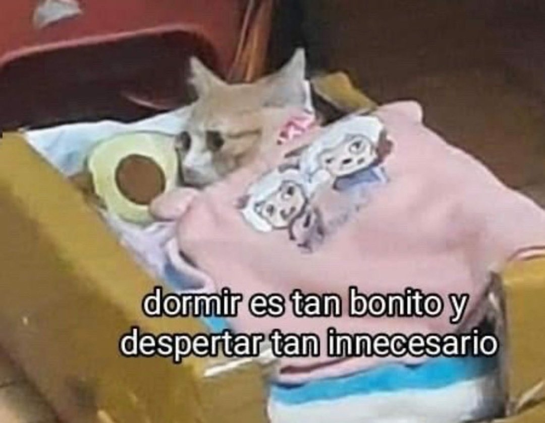 skereunpesado's tweet photo. https://t.co/vftioCjpX3
