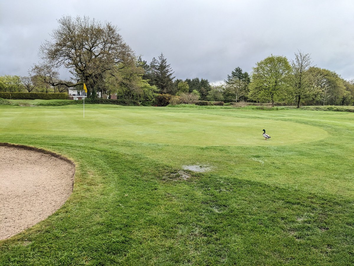 Stuart Broom tweet media