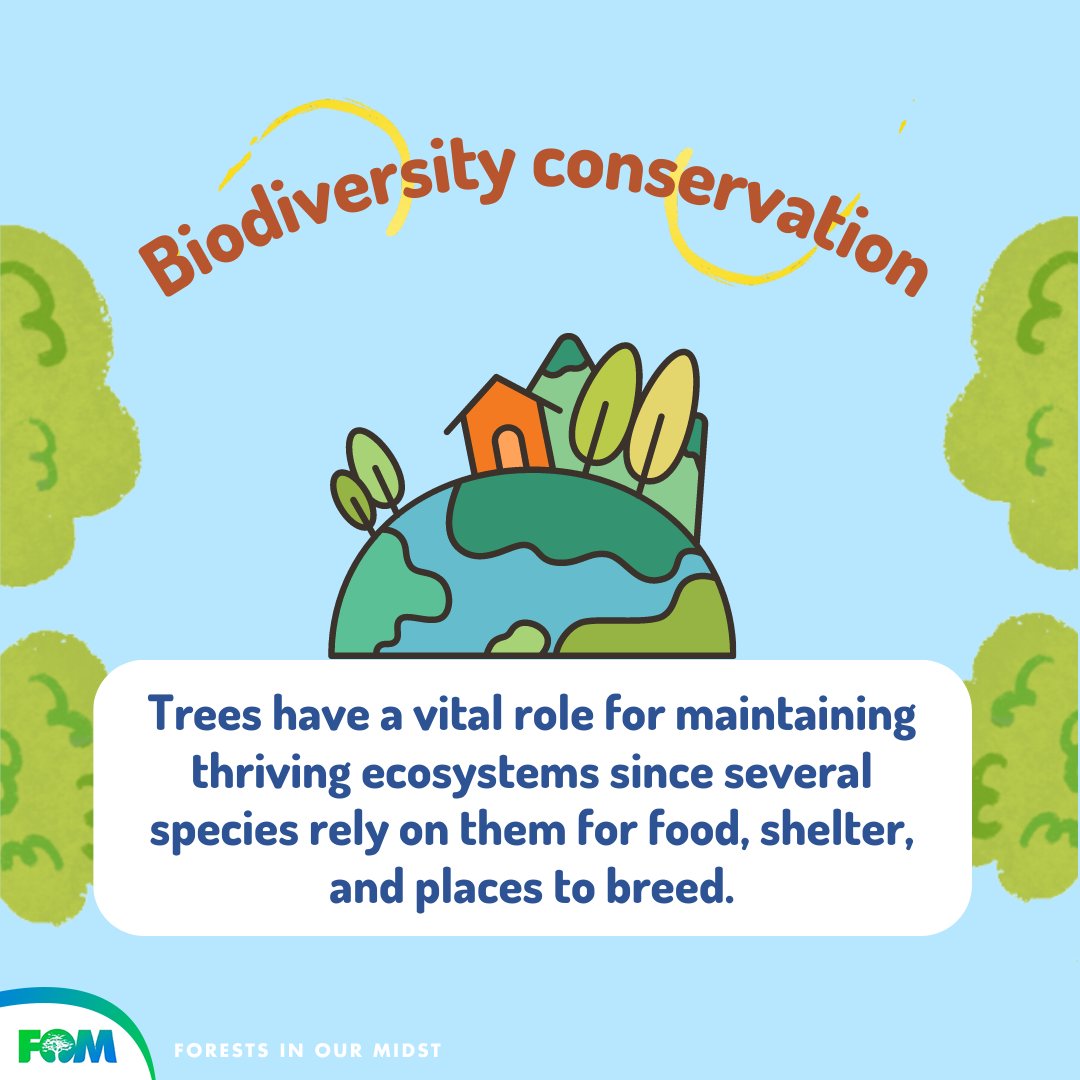 nagacitygov's tweet photo. SPEAKING FOR THE TREES ๐ณ | Ever wonder what our trees can do for you? We spend a lot of time planting trees, so let's take a look at some of the benefits that trees can offer us in the long run!
๐ธ Forests In Our Midst
#TreesAreFriends #FOMNaga #NagaNa https://t.co/fhIRuSljej