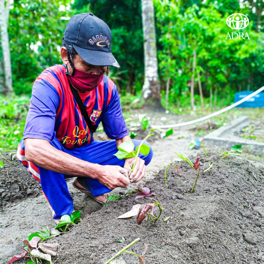 ADRA Indonesia tweet media
