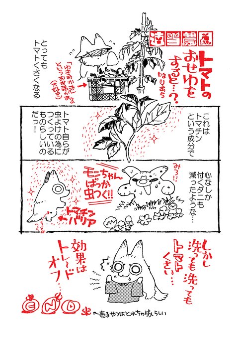 【適当農園】(9)  トマトのお世話が忙しくなってきました。 畑作業のうちで好き作業の1,2を争うのがトマトのお世話です💕 同じくらい好きなのが穴掘りで～す💕 #家庭菜園
